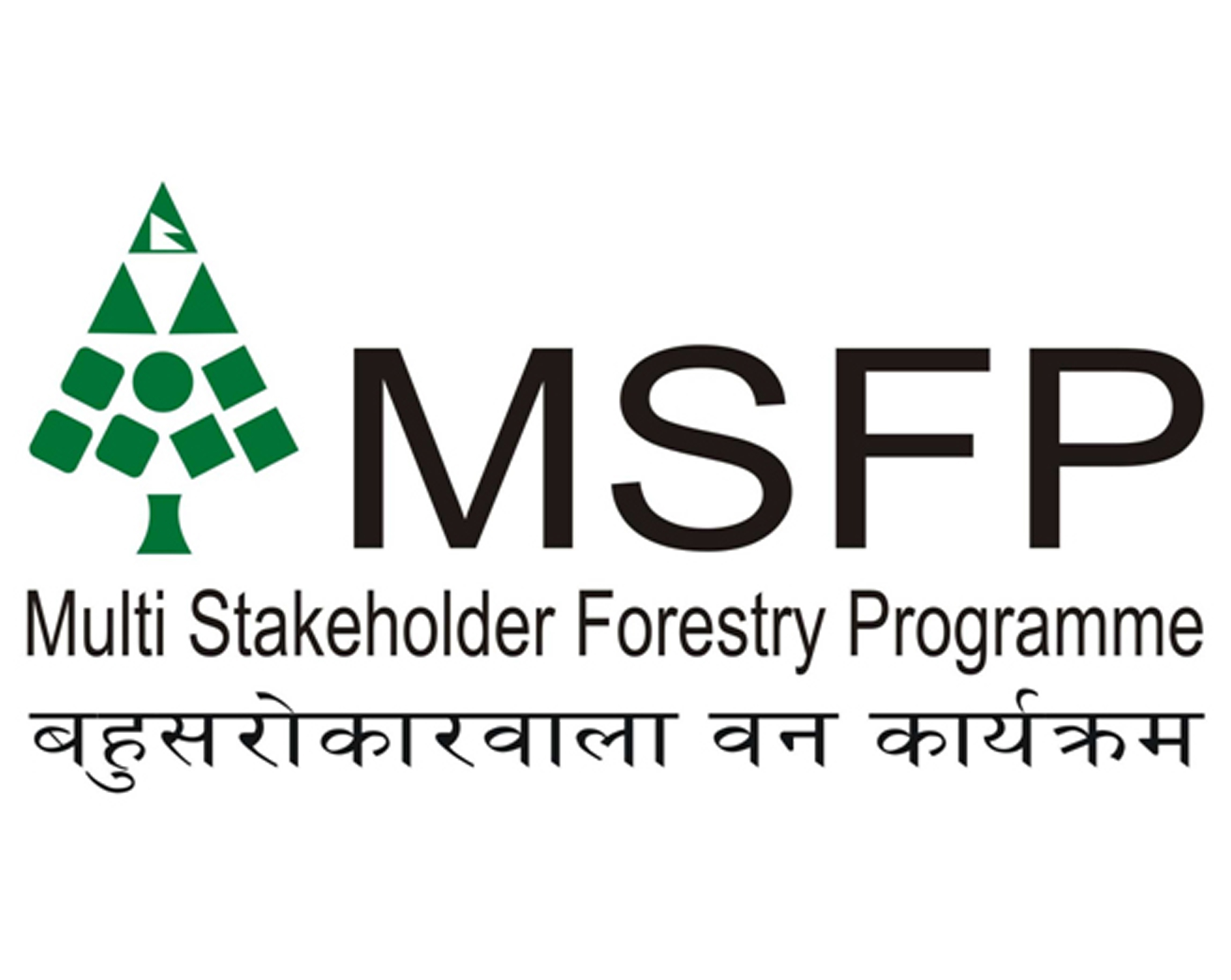 MSFP logo