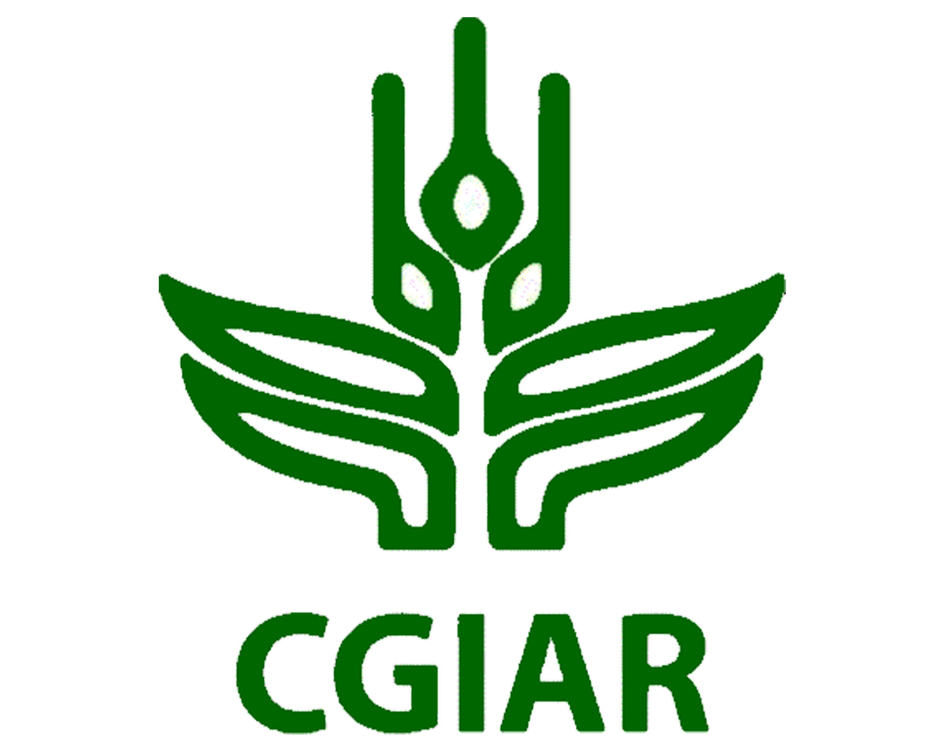 CGIAR logo