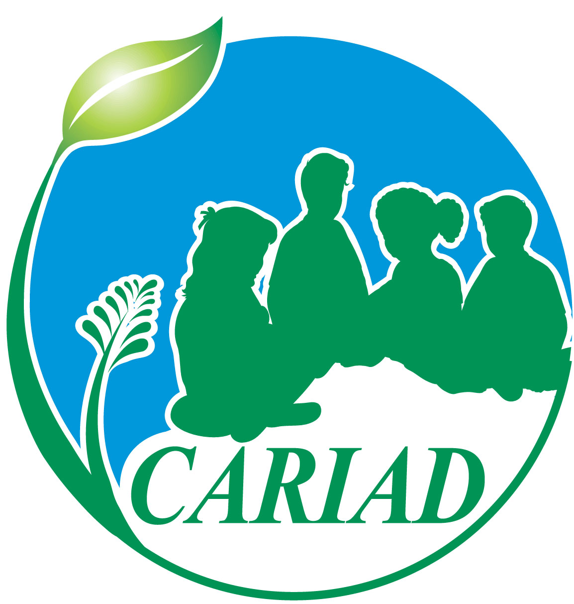 CARIAD logo